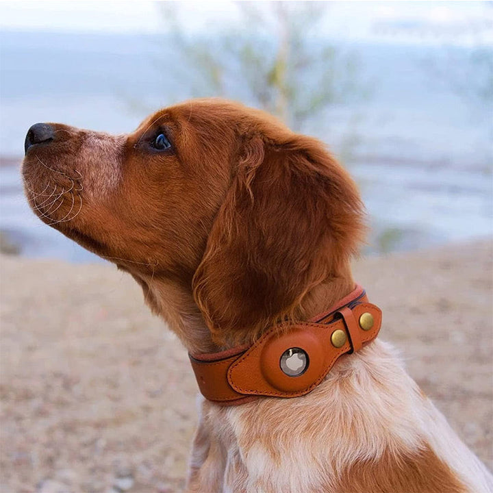 Trackify Airtag Leather Dog Collar